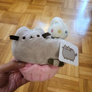 Limited edition pusheen
